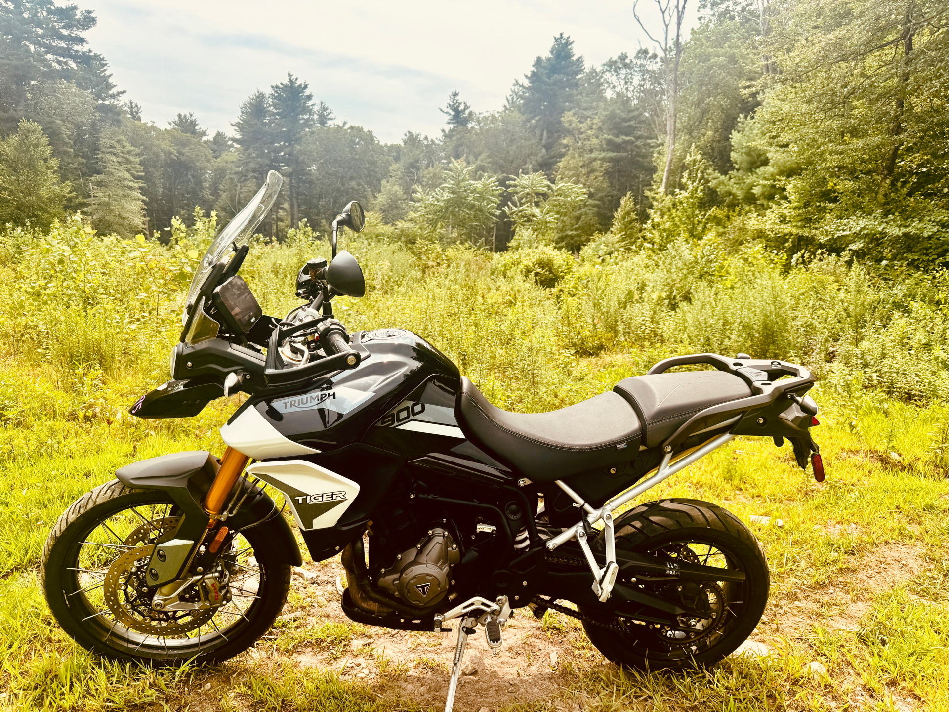 2021 Triumph Tiger 900 Rally in Foxboro, Massachusetts - Photo 23