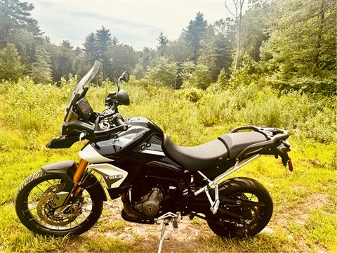 2021 Triumph Tiger 900 Rally in Foxboro, Massachusetts - Photo 23
