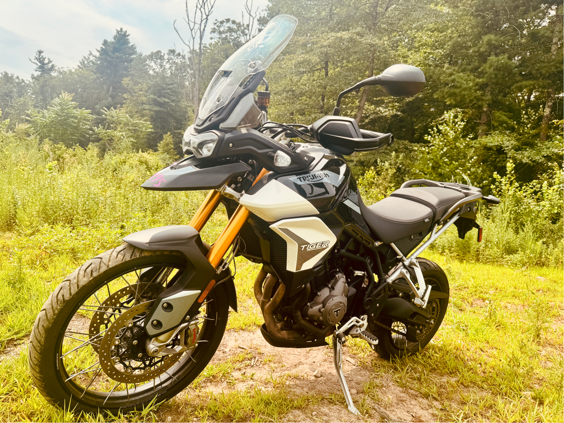 2021 Triumph Tiger 900 Rally in Foxboro, Massachusetts - Photo 5