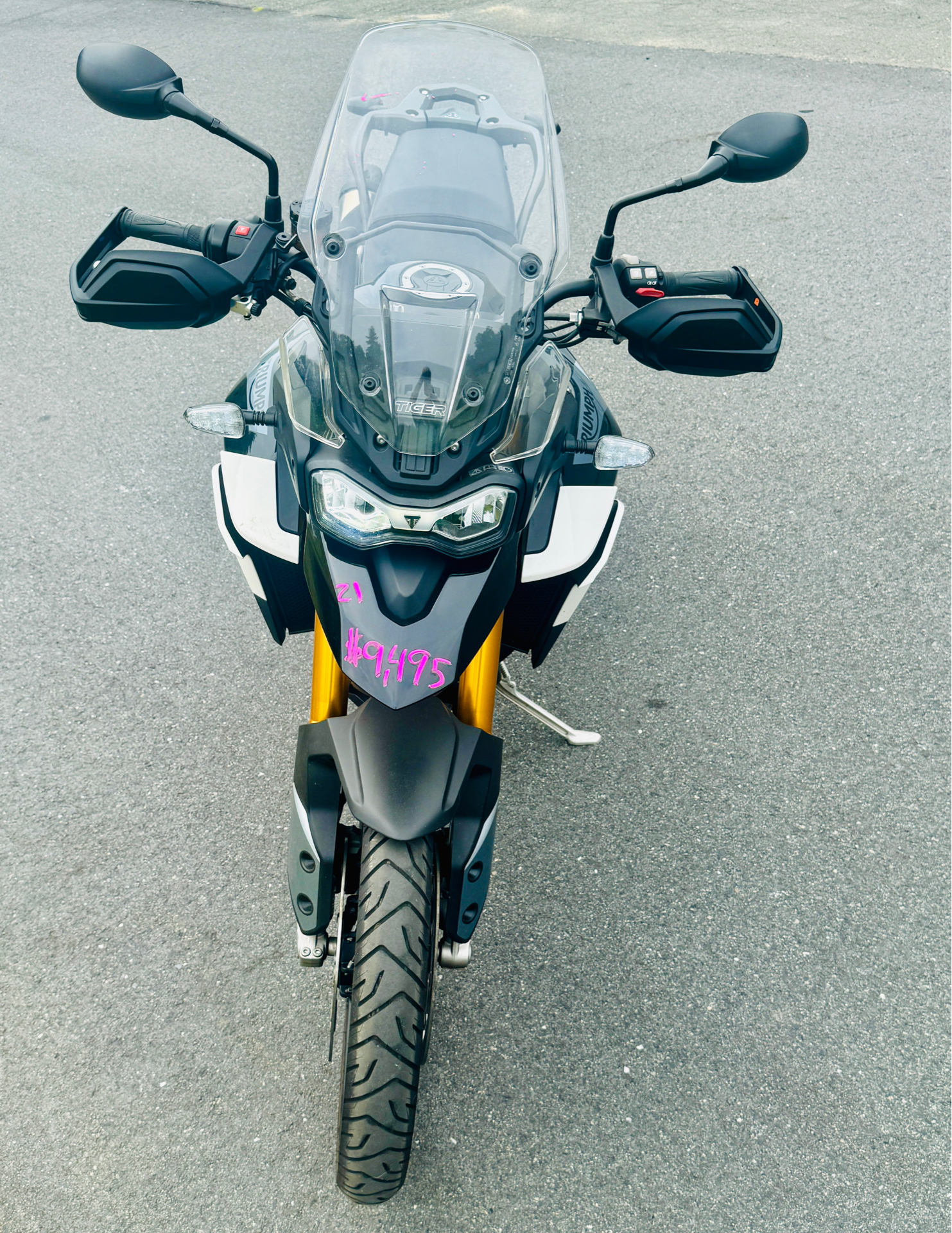 2021 Triumph Tiger 900 Rally in Foxboro, Massachusetts - Photo 3