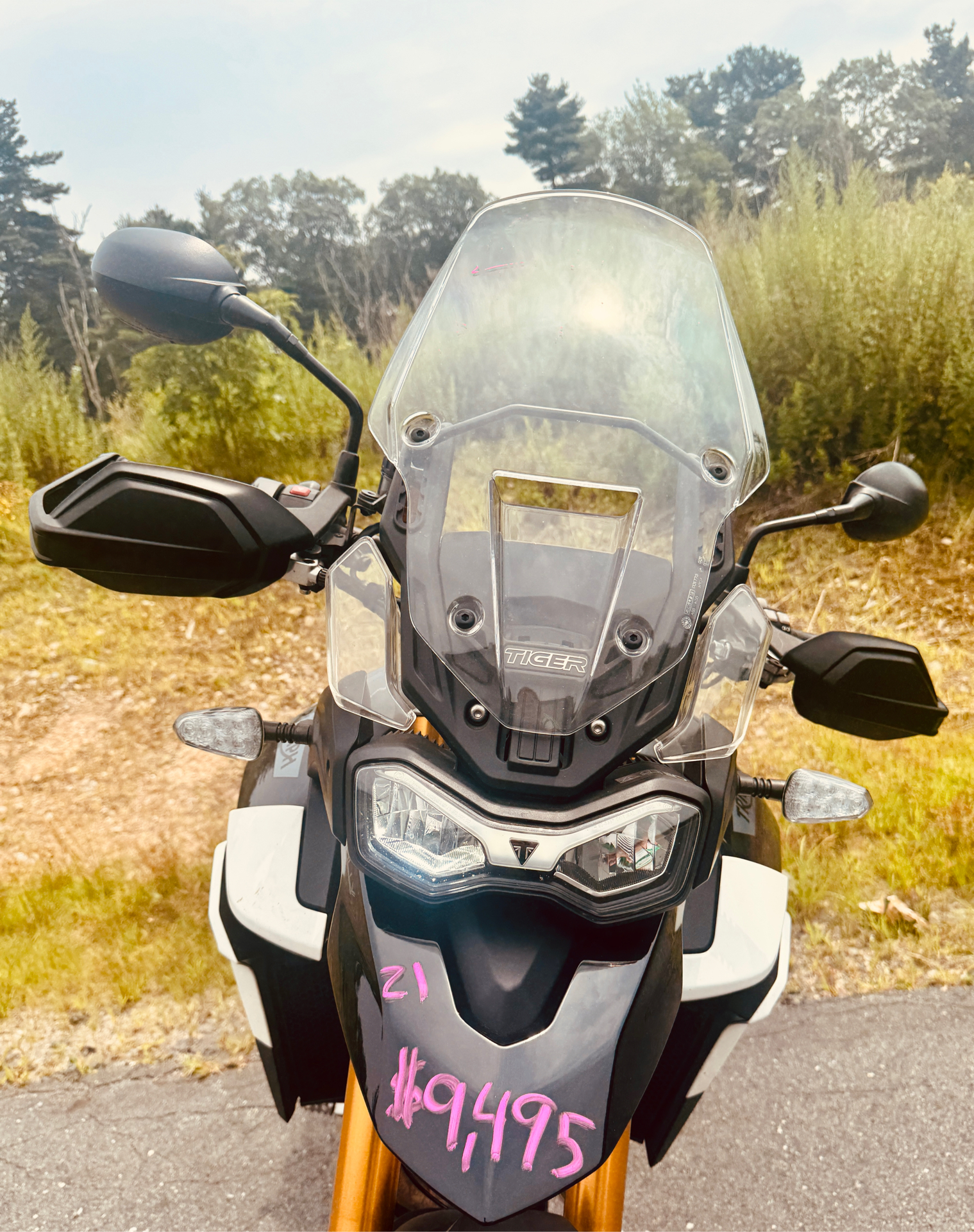 2021 Triumph Tiger 900 Rally in Foxboro, Massachusetts - Photo 13