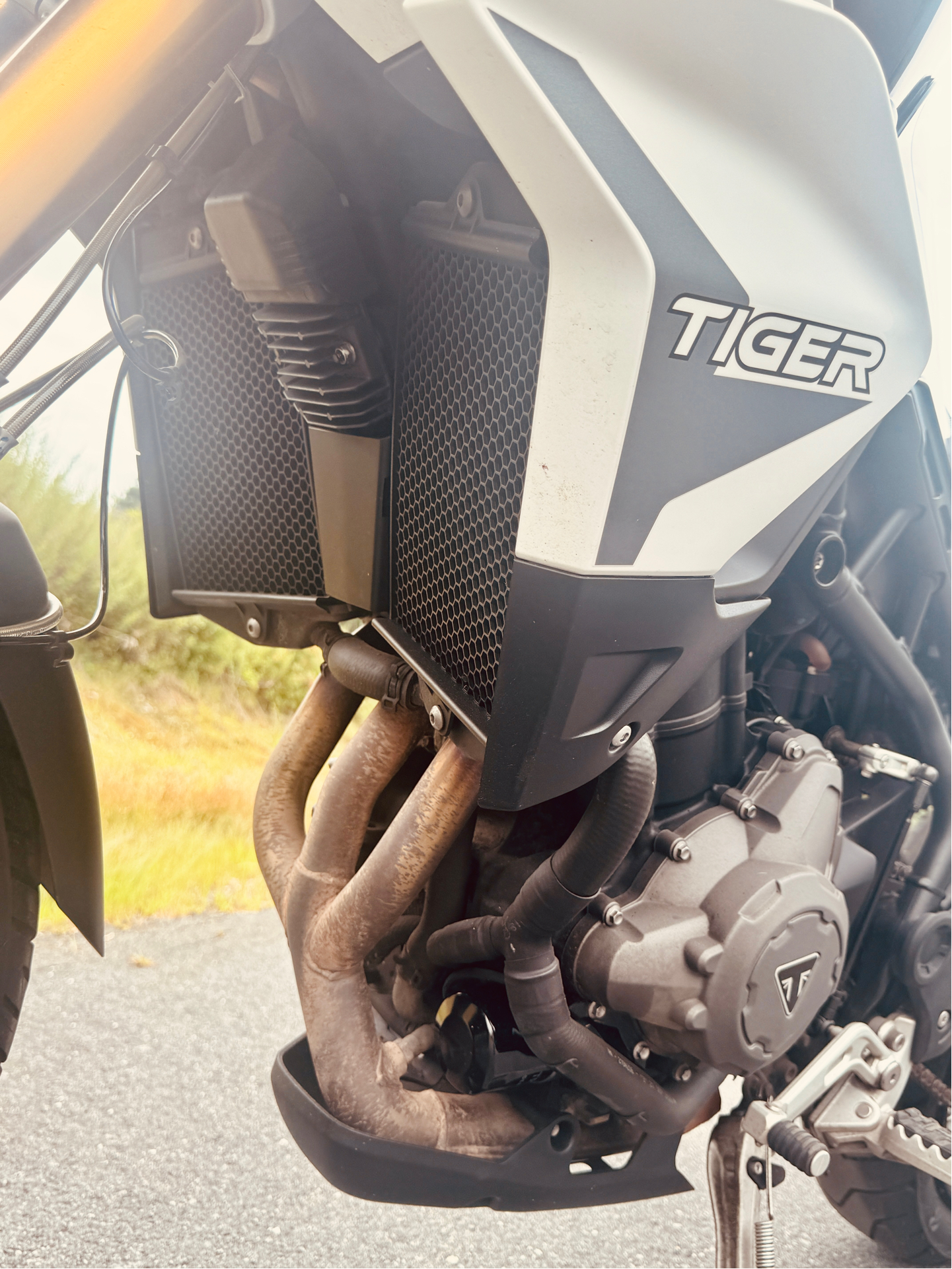 2021 Triumph Tiger 900 Rally in Foxboro, Massachusetts - Photo 10