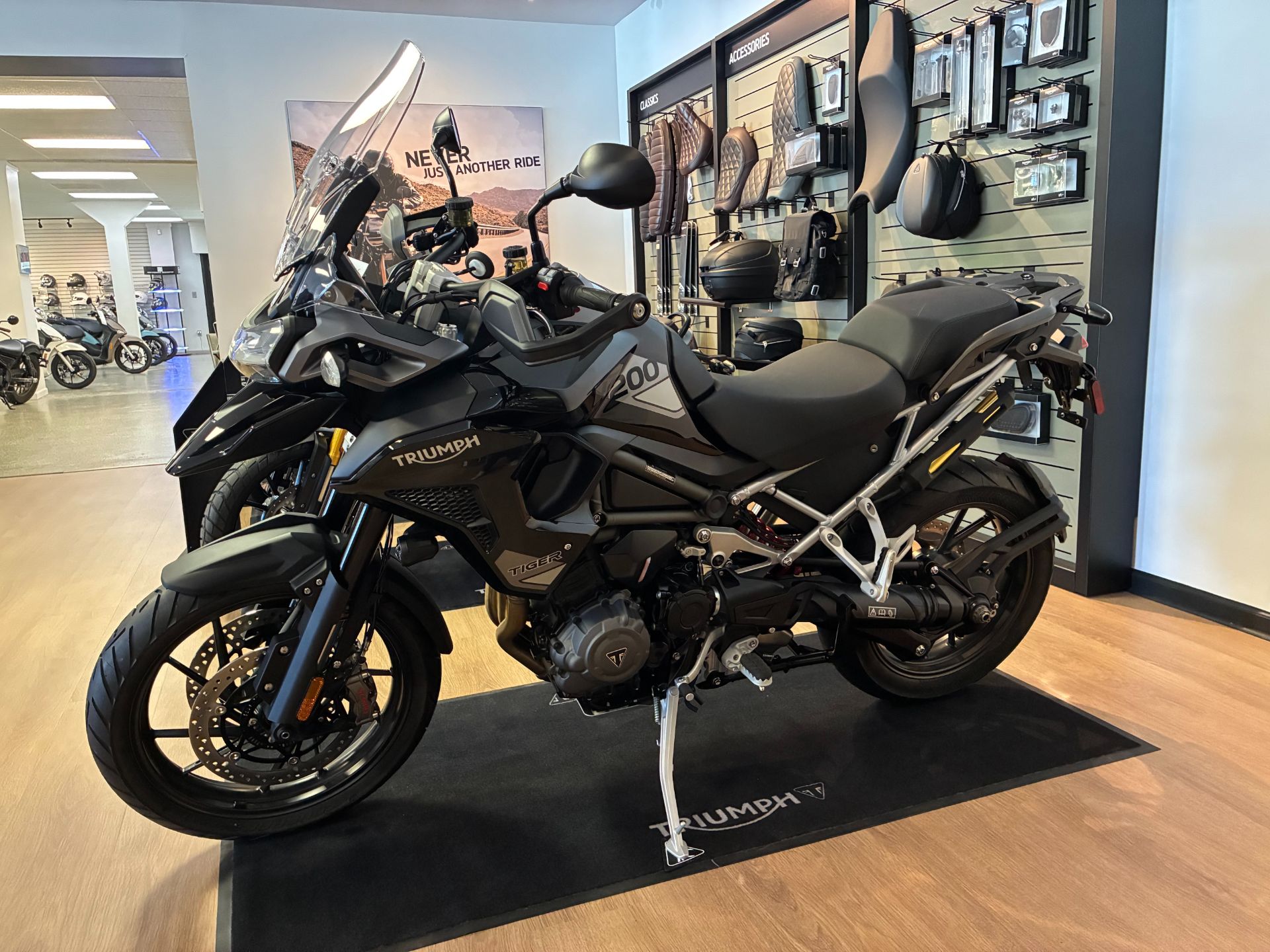 2025 Triumph Tiger 1200 GT Pro 3