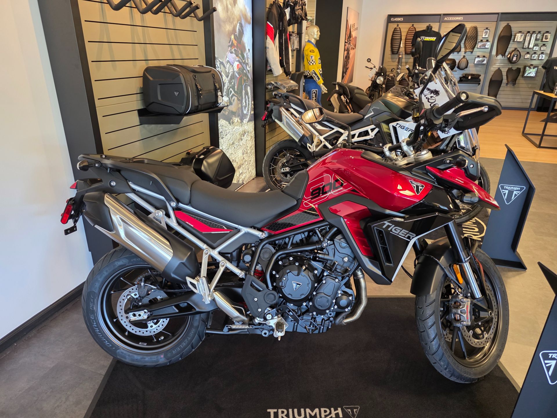 New 2025 Triumph Tiger 900 GT Pro Motorcycles in Pensacola FL