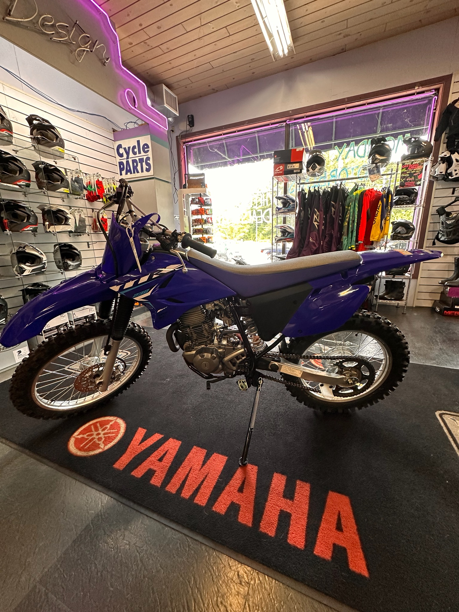 2026 Yamaha TT-R230 1