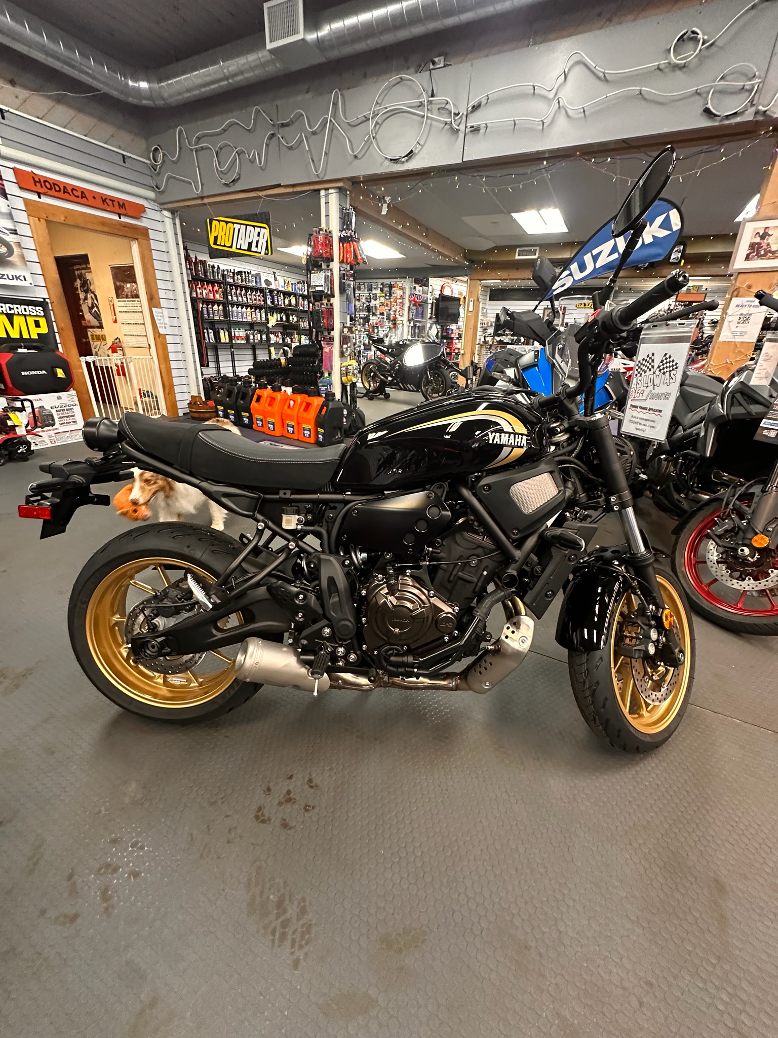 2026 Yamaha XSR700 for sale 1230889