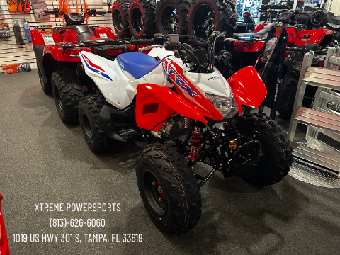 2026 Honda TRX250X — photo 1 of 1