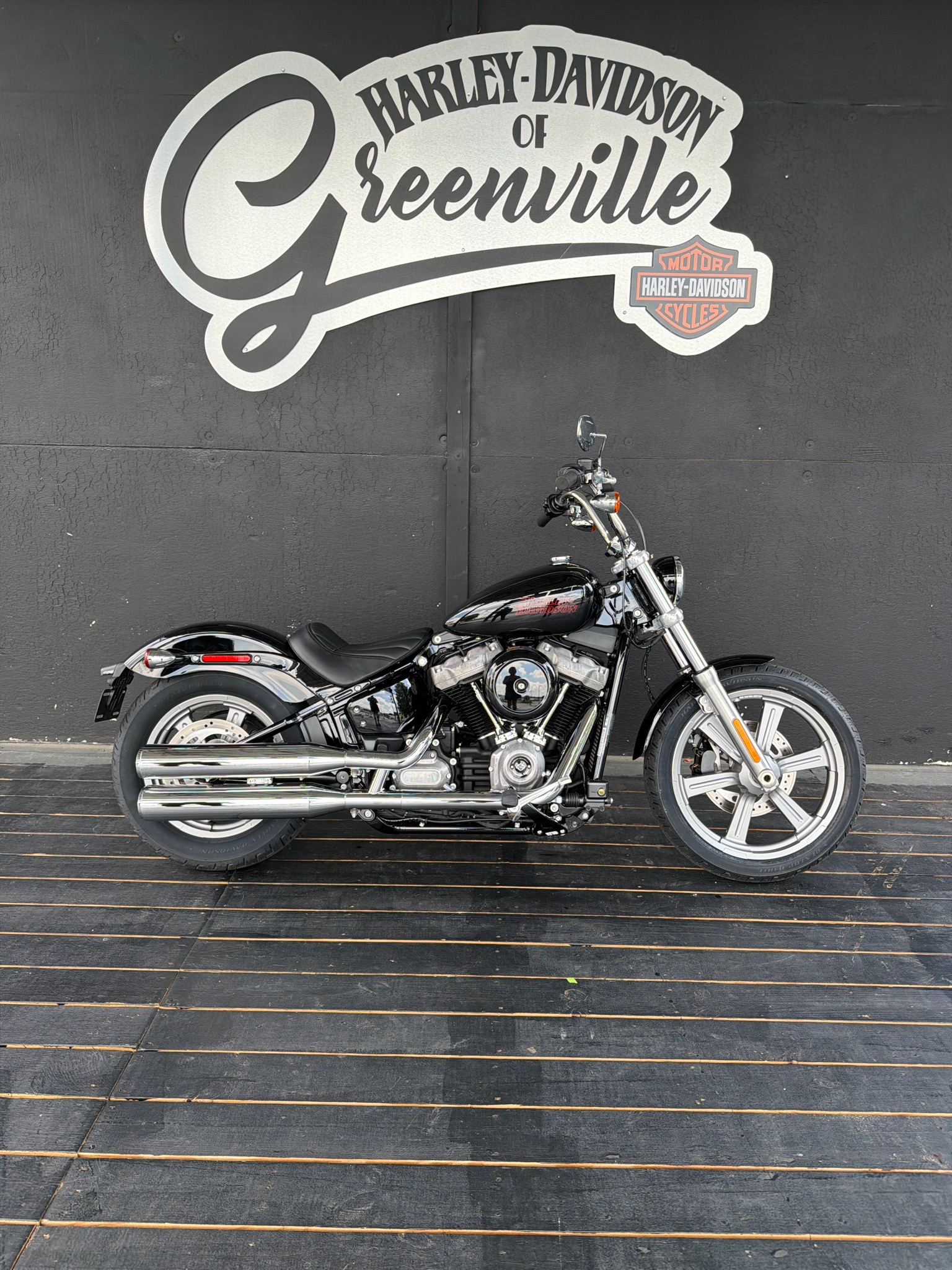 2024 Softail® Standard