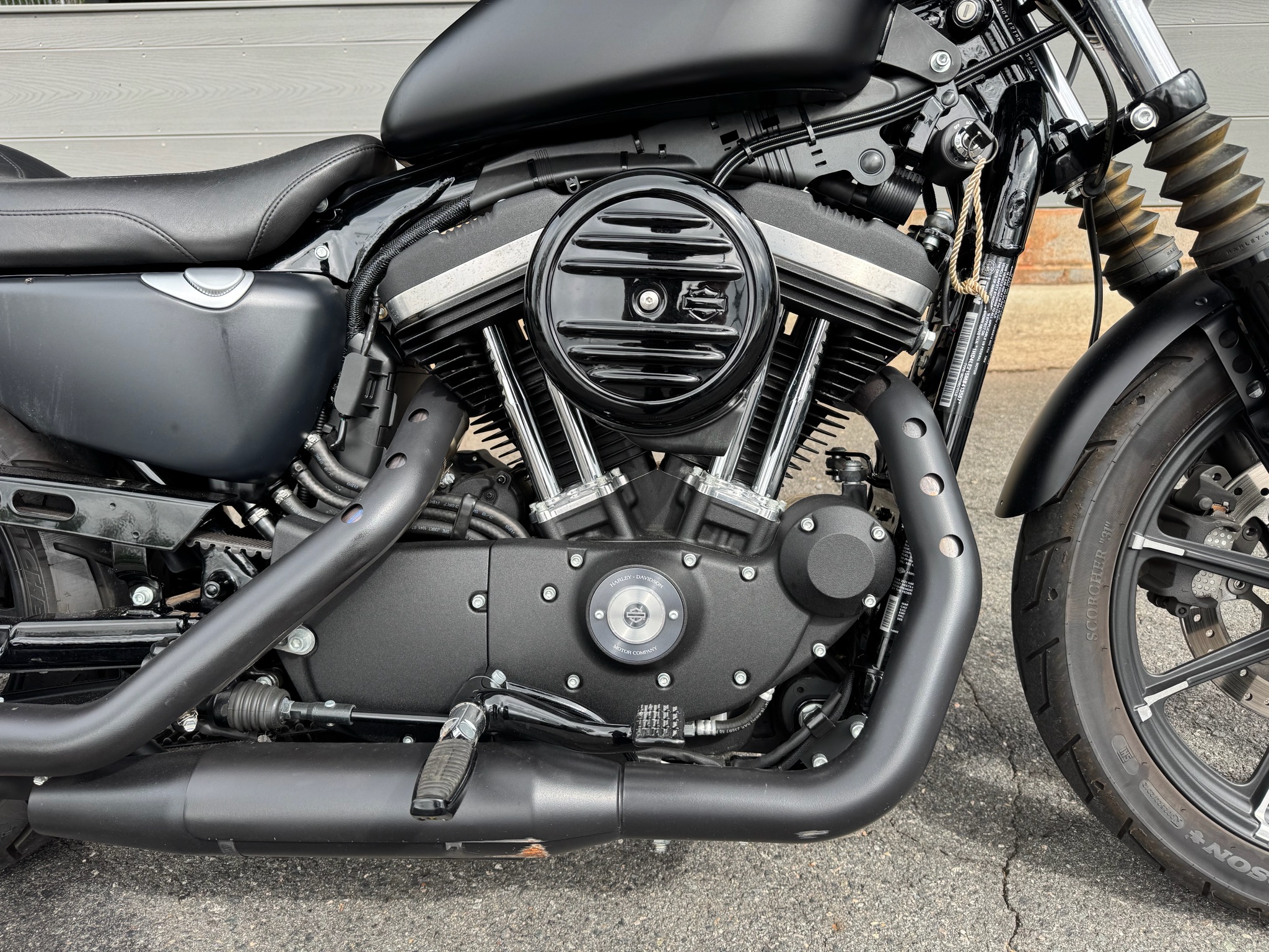 2021 Harley-Davidson Iron 883 4