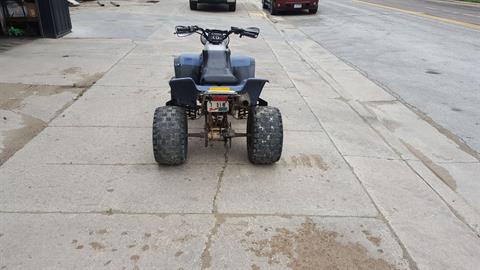 1993 Yamaha WARROIR in Mazeppa, Minnesota - Photo 4