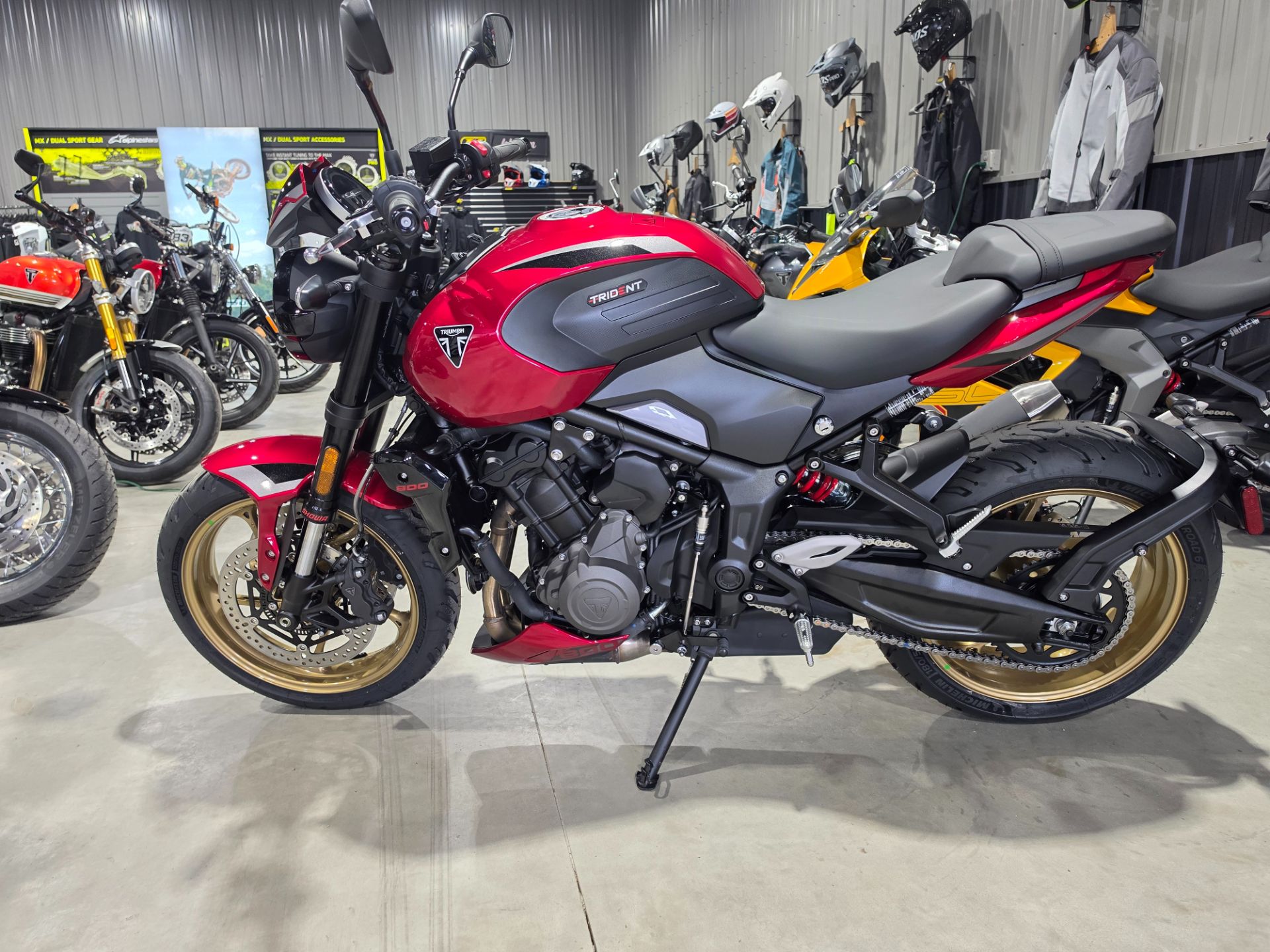 2026 Triumph Trident 800, Hawley MN | New Motorcycles for Sale