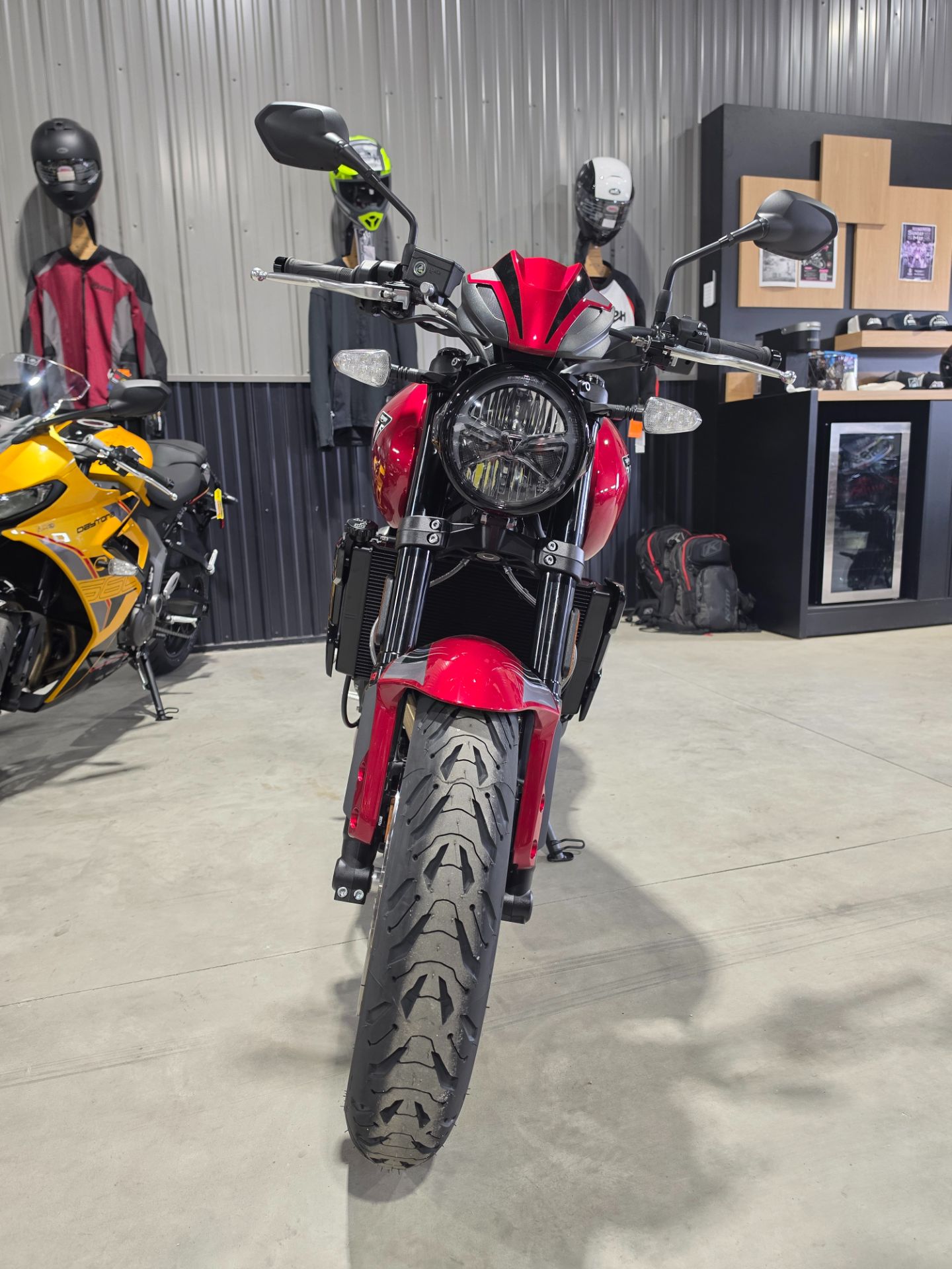 2026 Triumph Trident 800, Hawley MN | New Motorcycles for Sale
