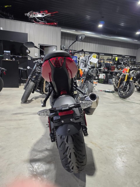 2026 Triumph Trident 800, Hawley MN | New Motorcycles for Sale