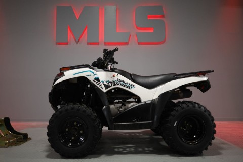 2022 Kawasaki Brute Force 300 — photo 1 of 9