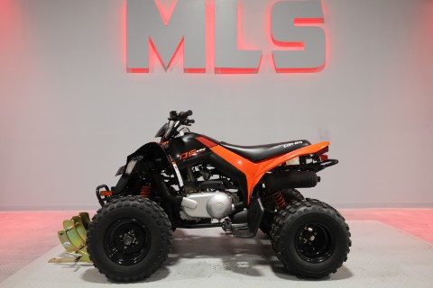 2022 Can-Am DS 250 — photo 1 of 11