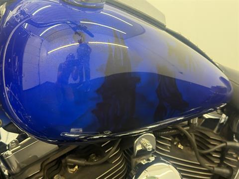 2002 Harley-Davidson FLSTC/FLSTCI Heritage Softail® Classic in Rochester, New York - Photo 6