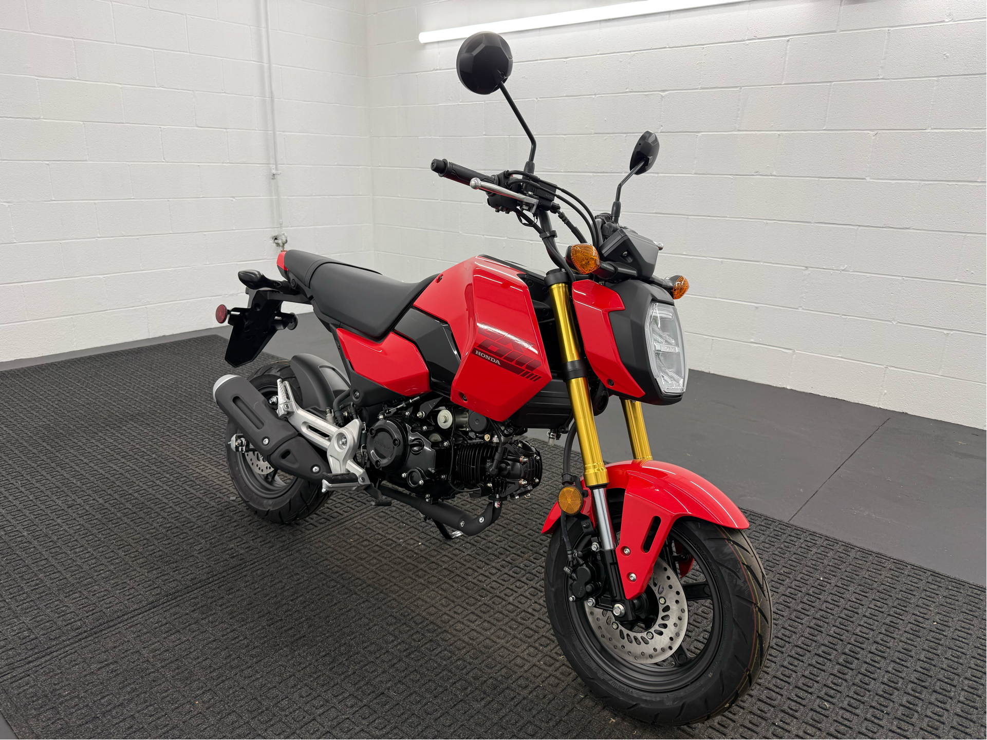 New 2025 Honda Grom Motorcycle - Specs, Price, Photos | Rochester