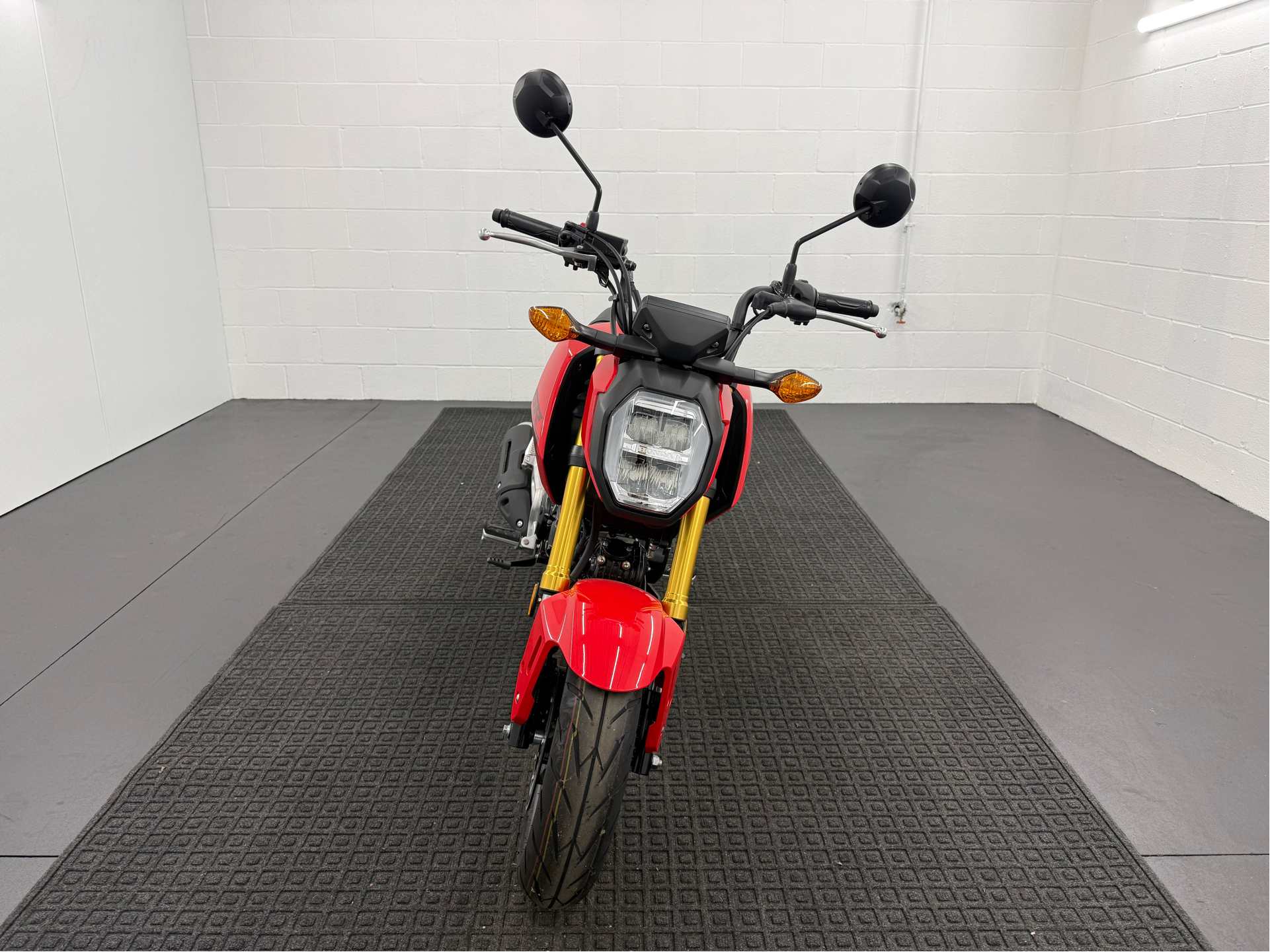 New 2025 Honda Grom Motorcycle - Specs, Price, Photos | Rochester