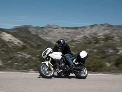 2008 Triumph Tiger ABS in Rochester, New York - Photo 7