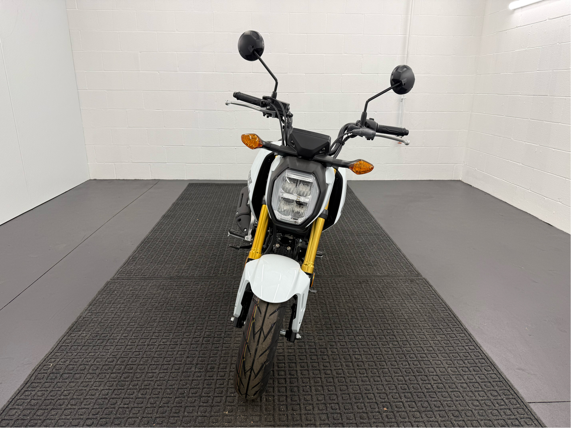 New 2025 Honda Grom Motorcycle - Specs, Price, Photos | Rochester