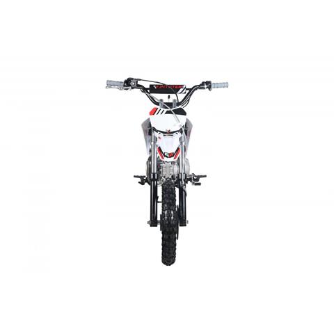 白　ホルスター　白バイ New 2019 Pitster Pro XJR YX110 Motorcycles in Panhandle Power