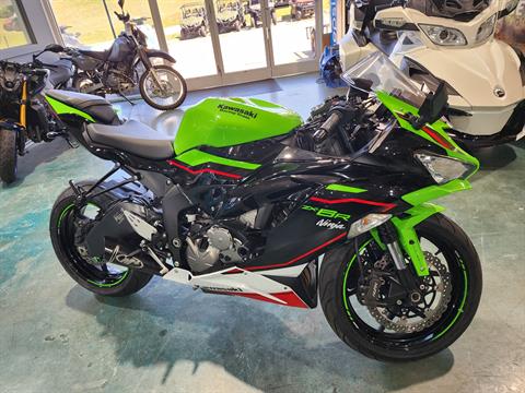 BL Kawasaki Ninja ZX-10R Colors (2 colours) - Ninja ZX-10R