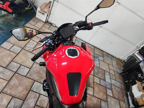 2022 Kawasaki Z900 50th Anniversary Motorcycles Louisville