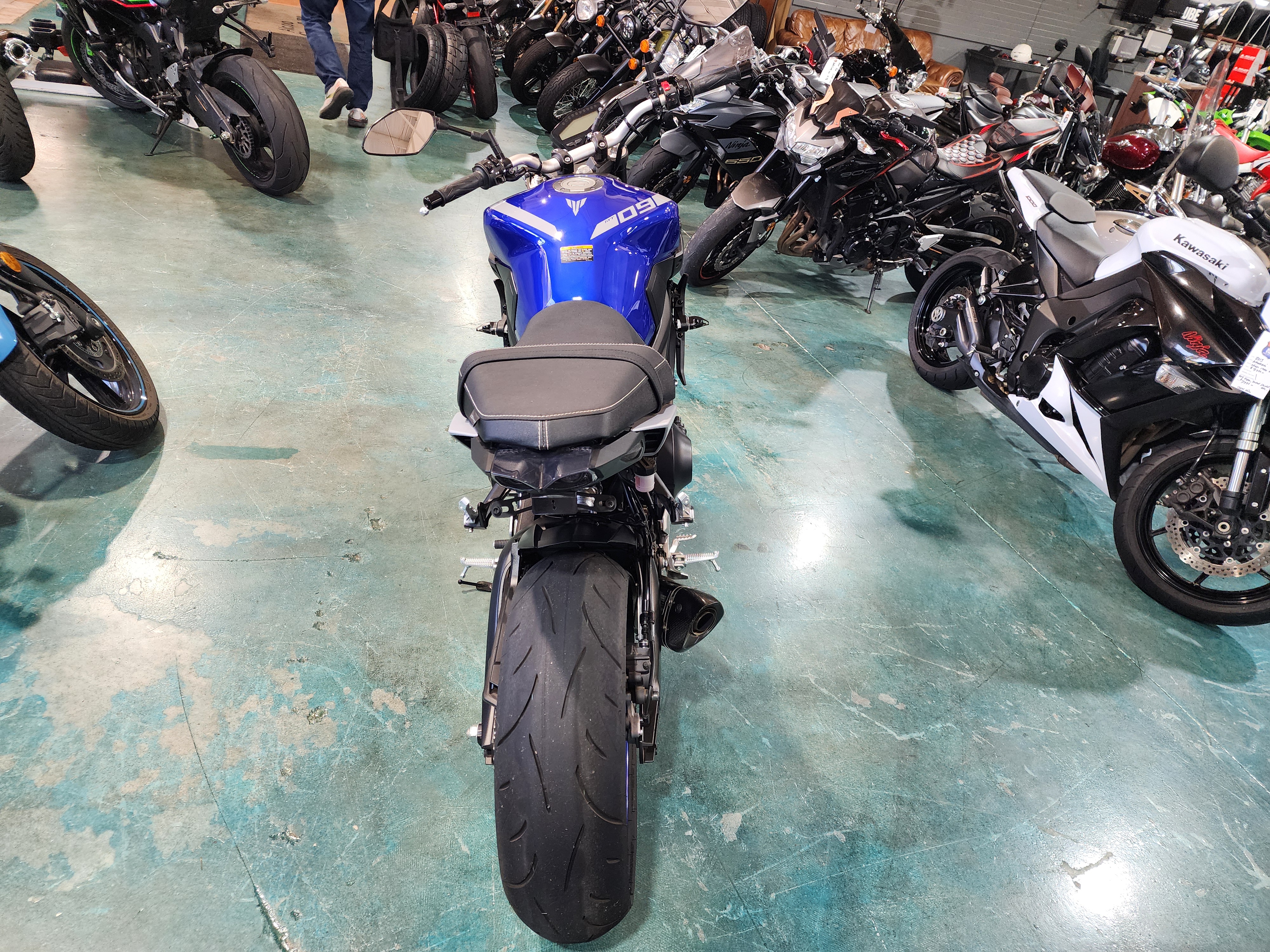 MT09 ヤマハ Crouching Tiger: Yamaha MT-09 / FZ-09 Buyer's Guide
