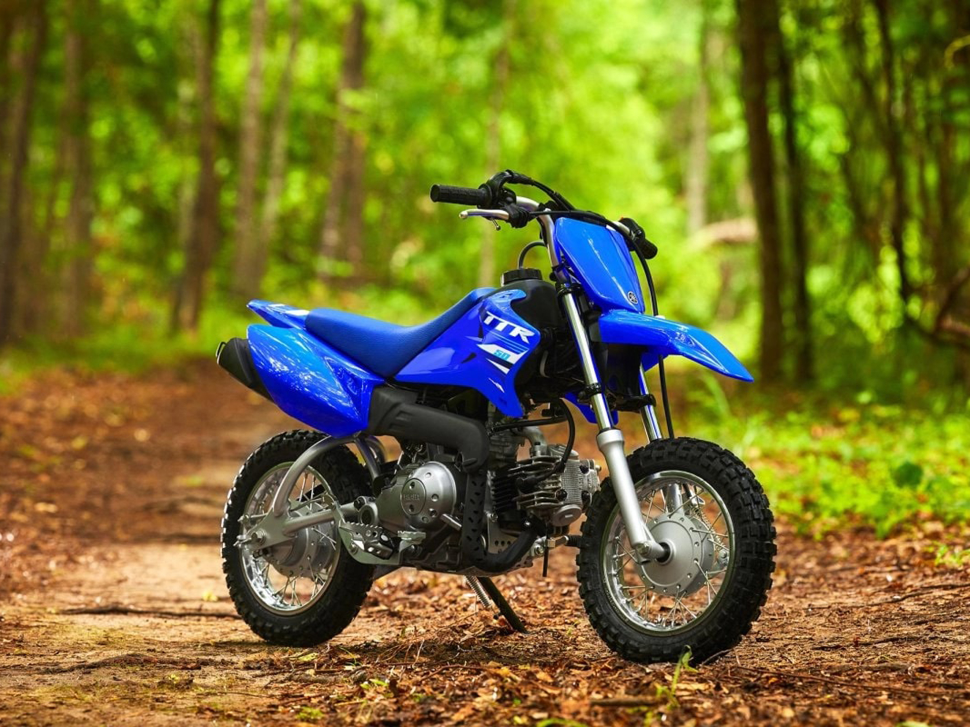 2025 Yamaha TT-R50E 7