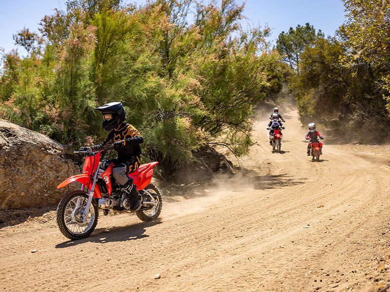 2025 Honda CRF110F 7