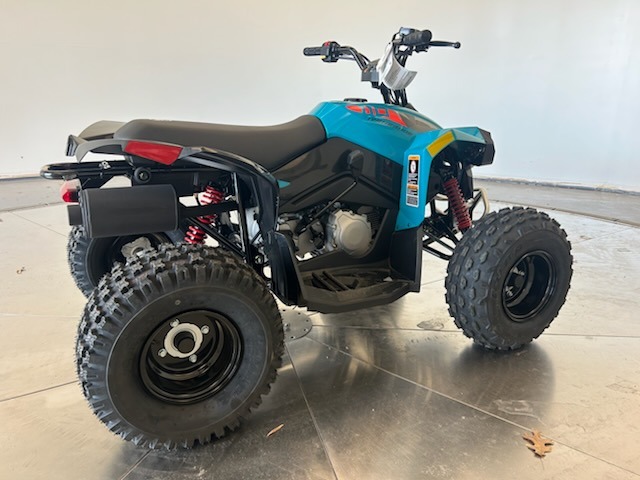 2026 Can-Am™ Renegade 110 EFI 3