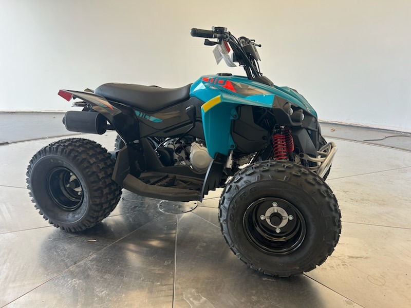2026 Can-Am™ Renegade 110 EFI 4