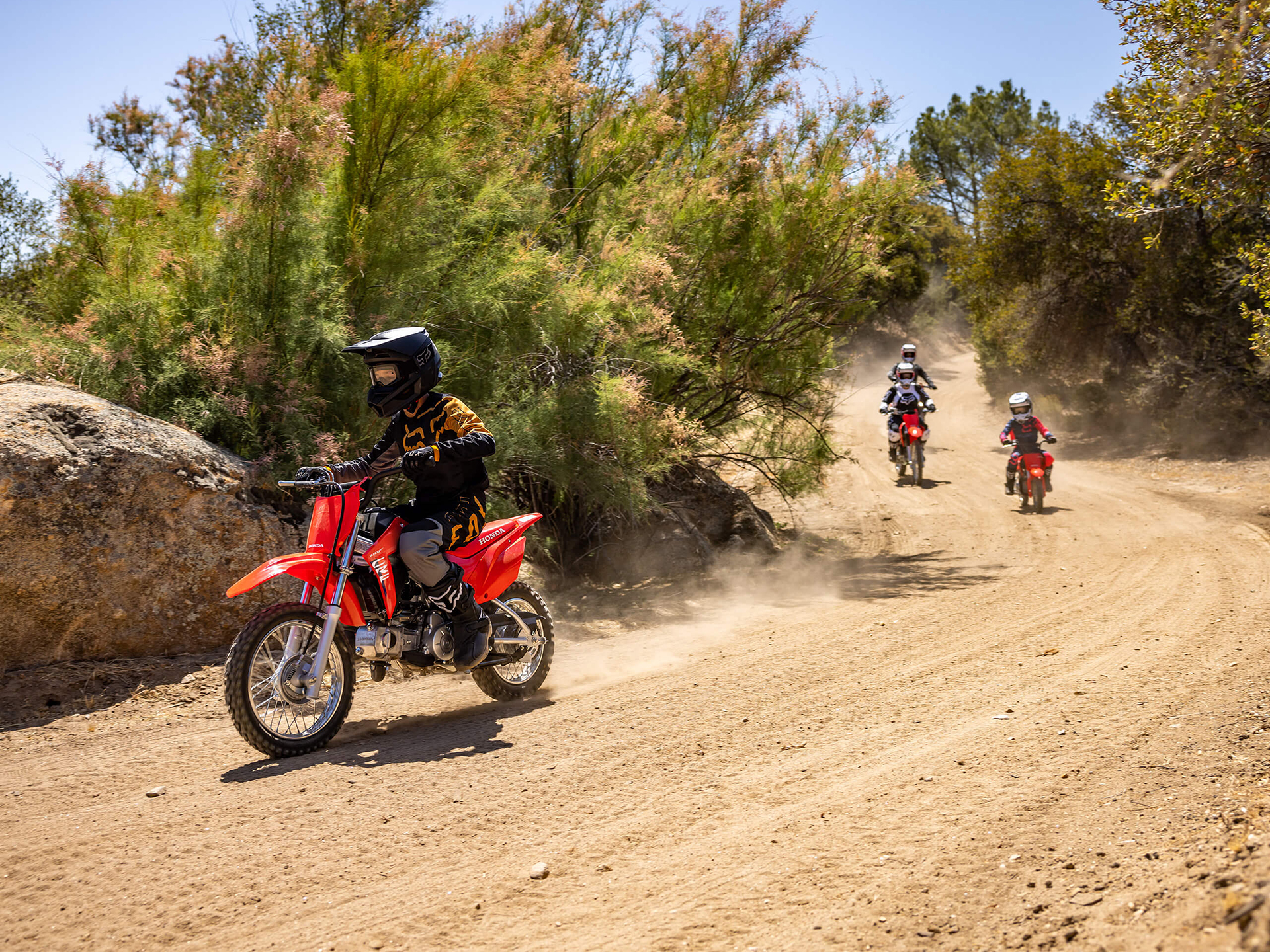 2026 Honda CRF110F 7