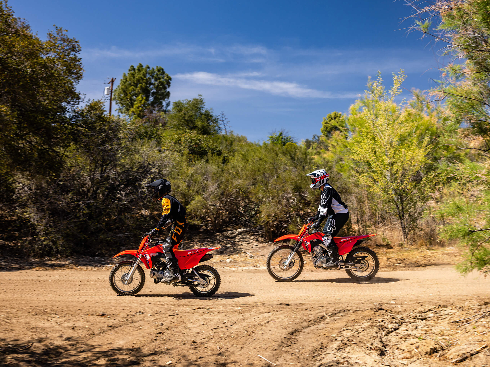 2026 Honda CRF110F 8