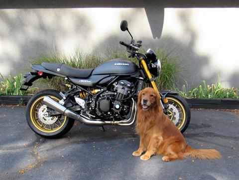 New 2025 Kawasaki Z900RS SE ABS Motorcycles in New Haven, CT
