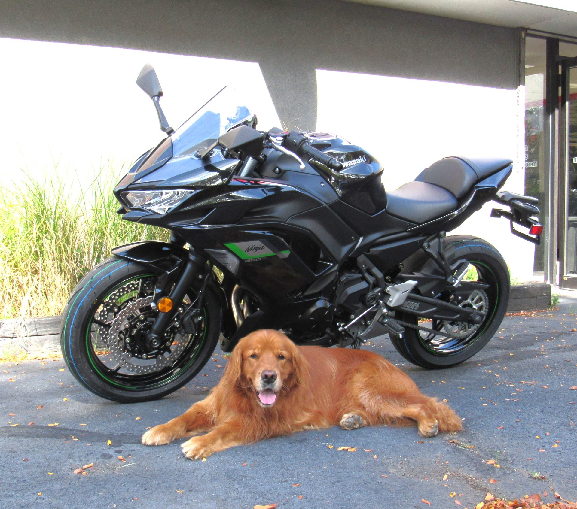 New 2025 Kawasaki Ninja 650 Motorcycles in New Haven, CT | Stock