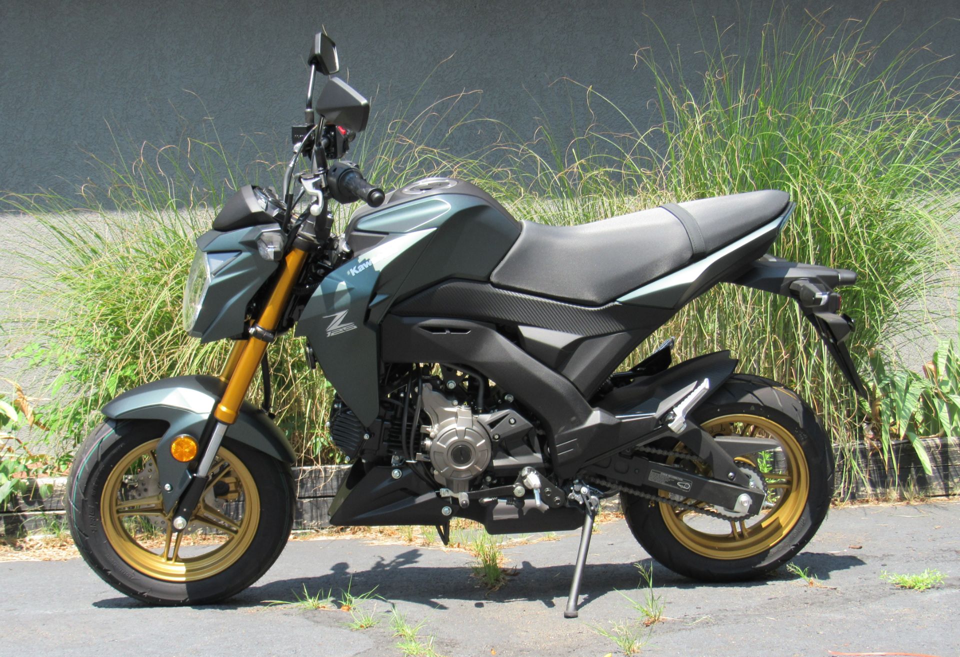 New 2025 Kawasaki Z125 Pro Motorcycles in New Haven, CT Stock