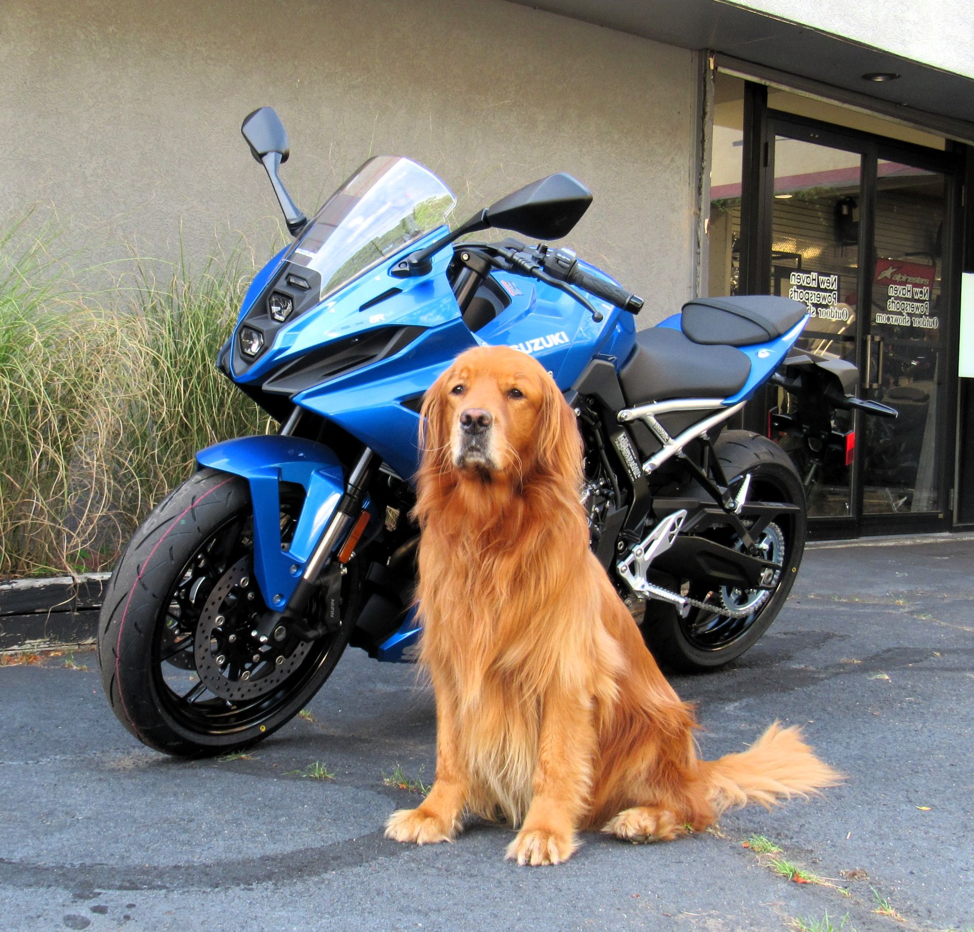 New 2026 Suzuki GSX-8R Motorcycles in New Haven, CT | Stock