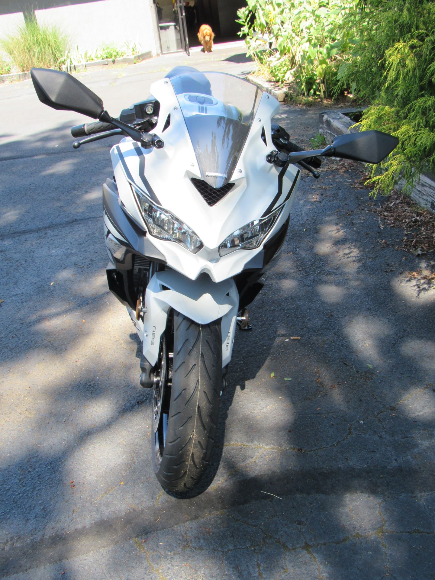 New 2025 Kawasaki Ninja ZX-4RR ABS Motorcycles in New Haven