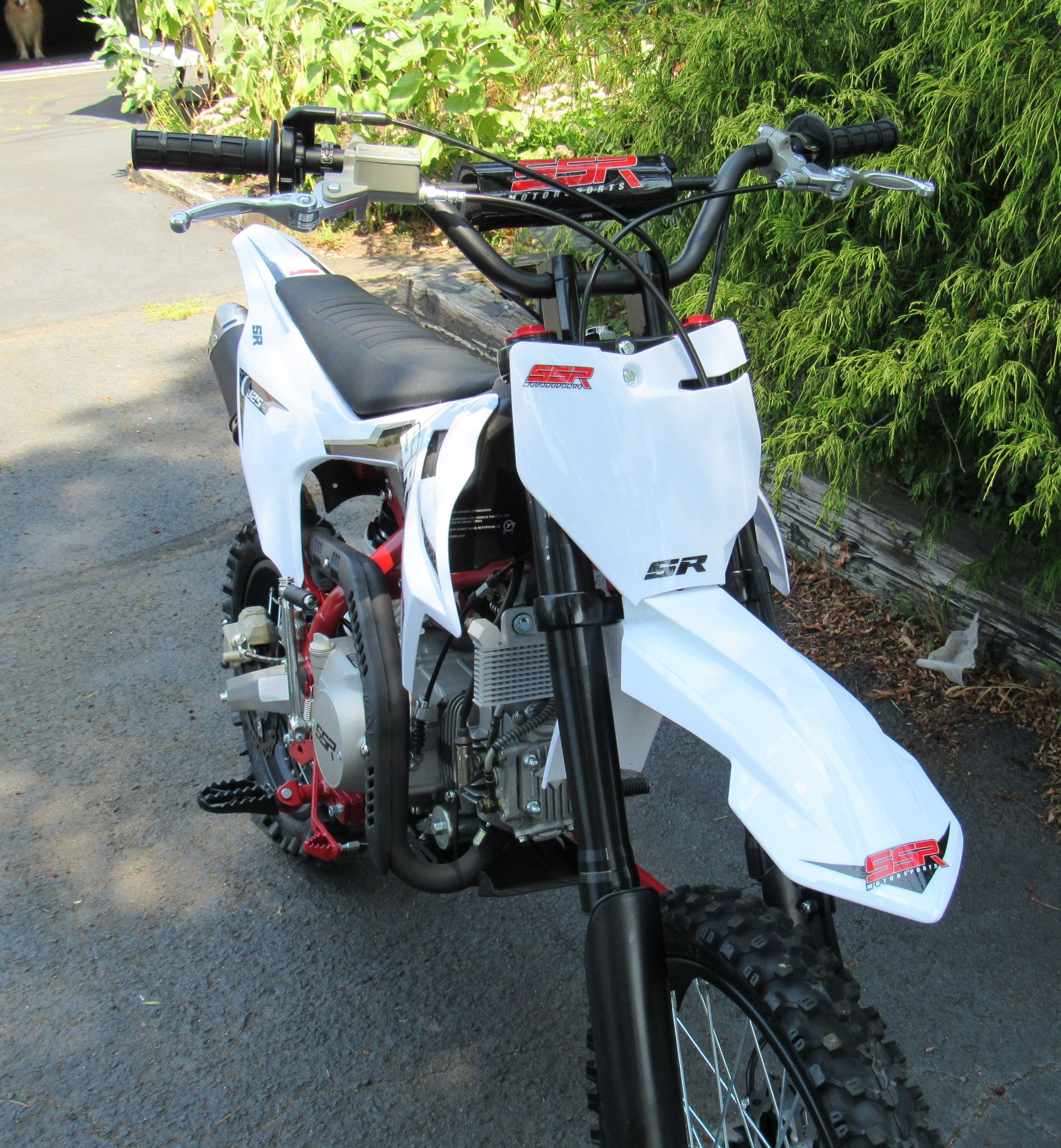 New 2025 SSR Motorsports SR125RB Big Wheel Motorcycles in New