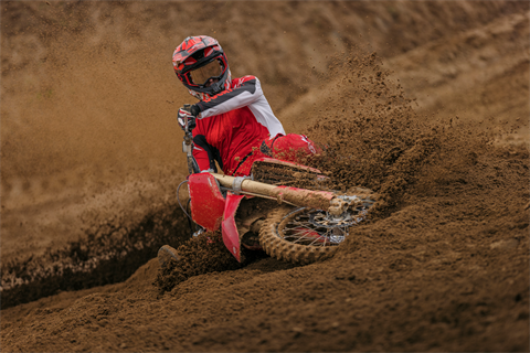 2026 Ducati Desmo 450 in Portland, Oregon - Photo 14