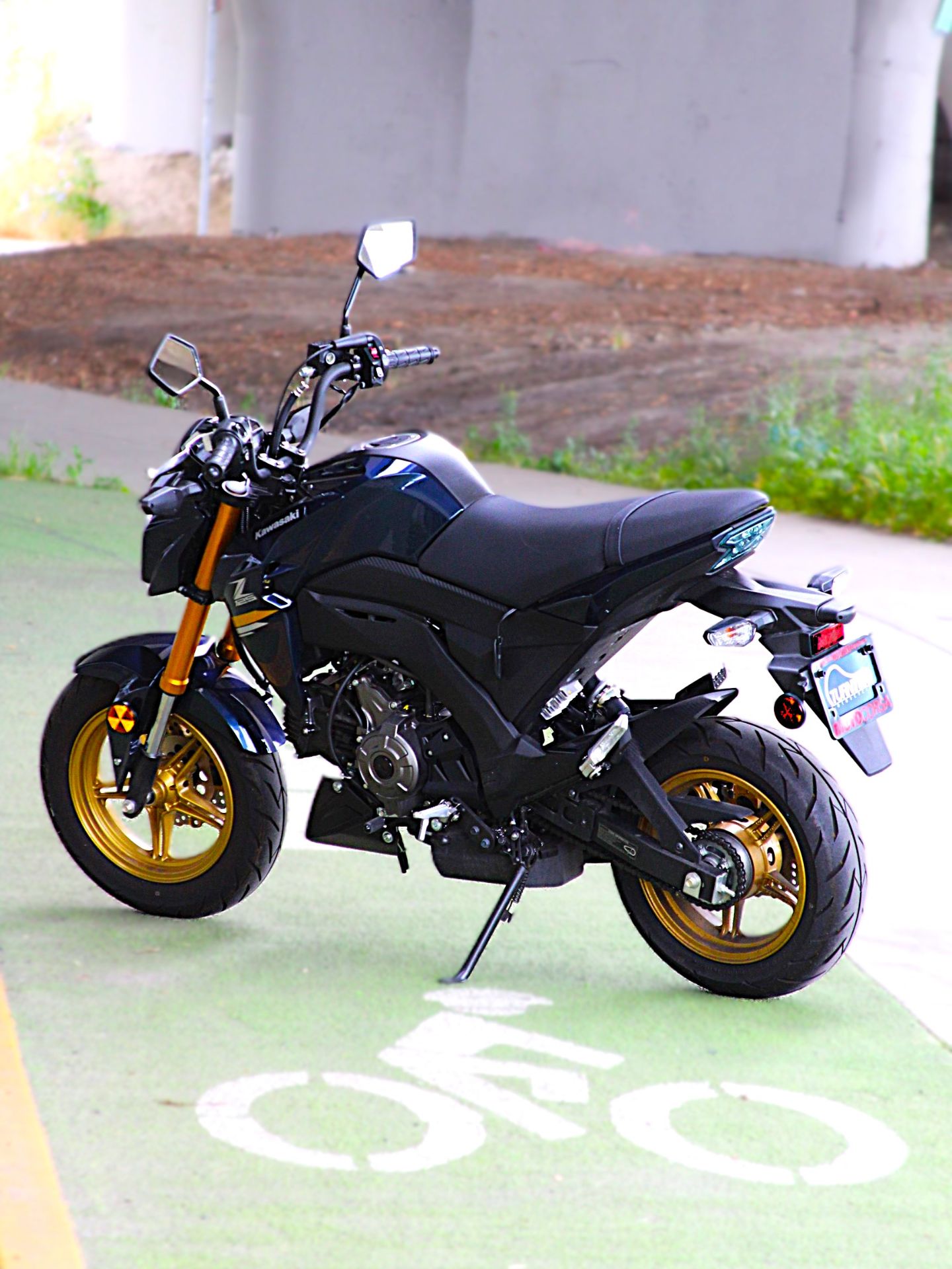2023 Kawasaki Z125 Pro in Portland, Oregon - Photo 2