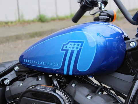 2024 Harley-Davidson Street Bob® 114 in Portland, Oregon - Photo 9