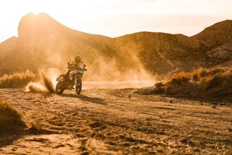 2026 Ducati DesertX in Portland, Oregon - Photo 3