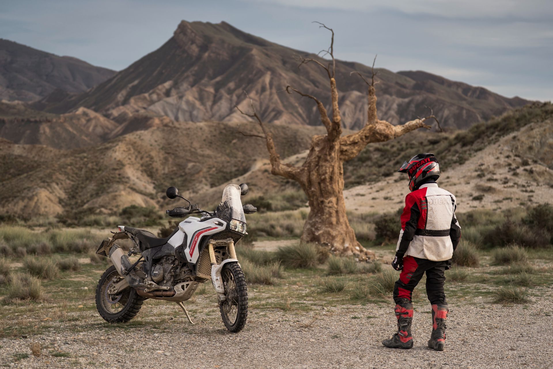 2026 Ducati DesertX in Portland, Oregon - Photo 8