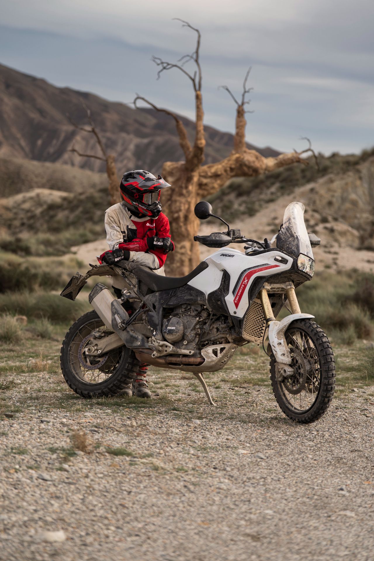 2026 Ducati DesertX in Portland, Oregon - Photo 9