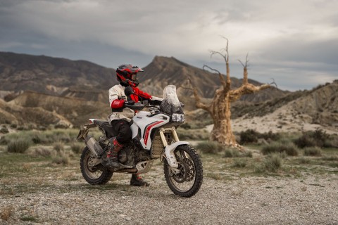 2026 Ducati DesertX in Portland, Oregon - Photo 23