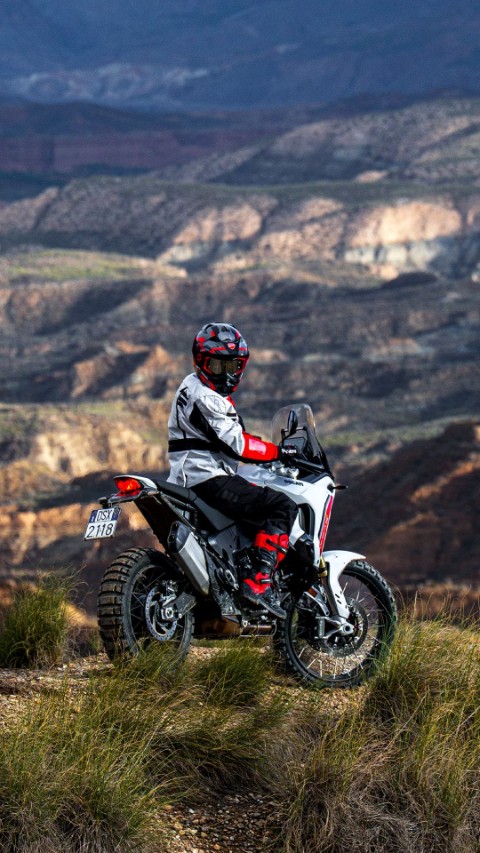 2026 Ducati DesertX in Portland, Oregon - Photo 39