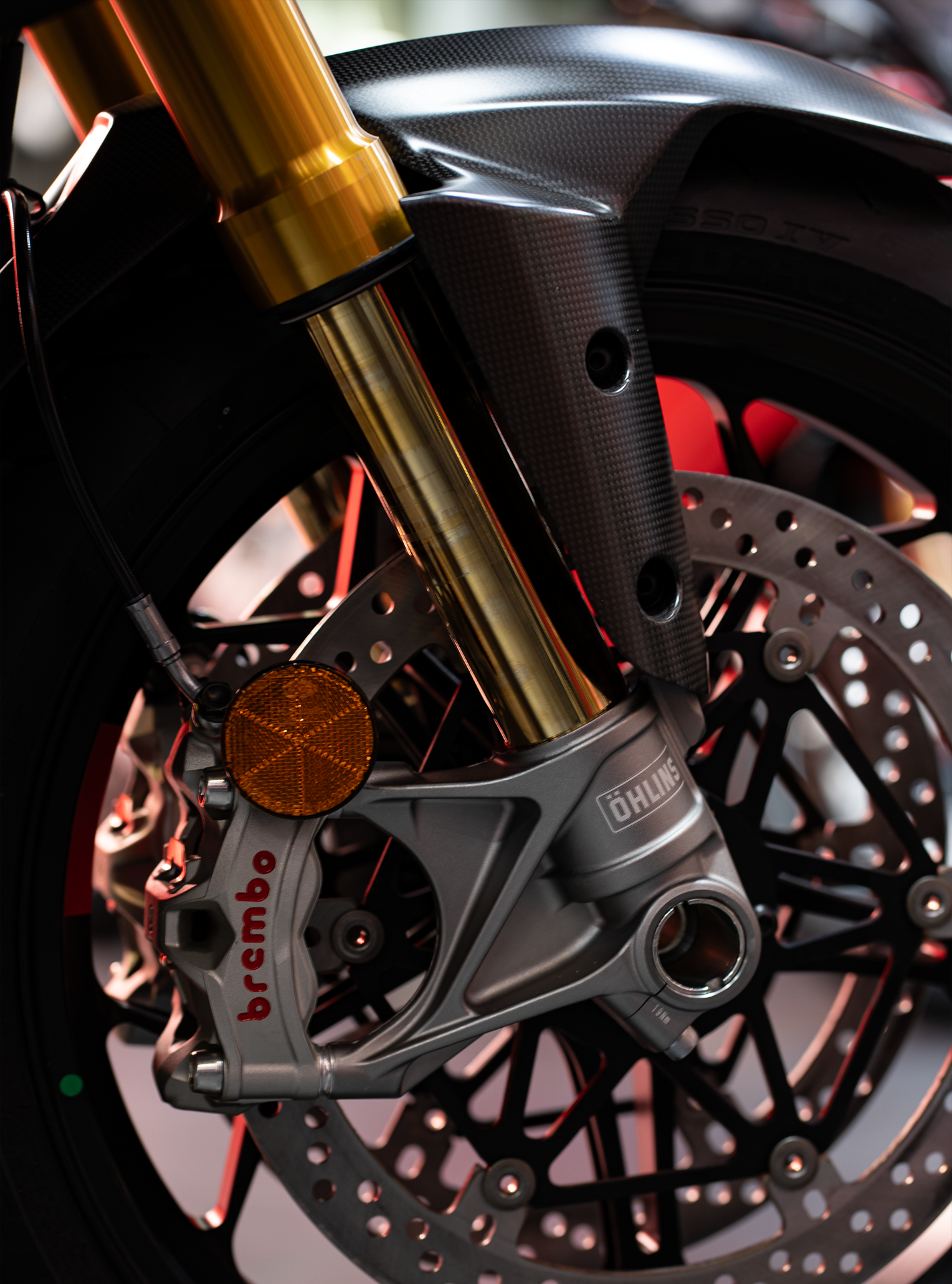 2025 Ducati Multistrada V4 Pikes Peak in Portland, Oregon - Photo 9
