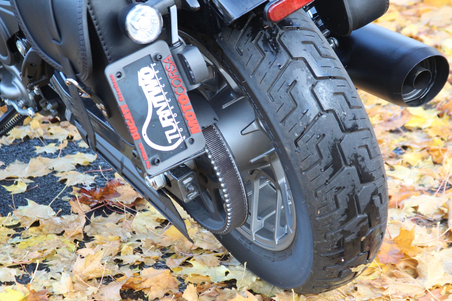 2023 Harley-Davidson Nightster® Special in Portland, Oregon - Photo 14